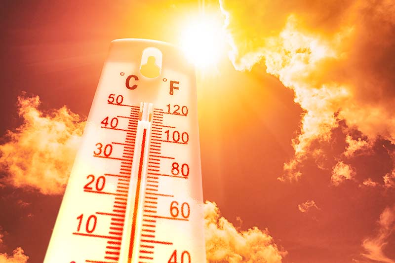 Stay Cool & Keep Your AC Running Strong During the Heat Wave